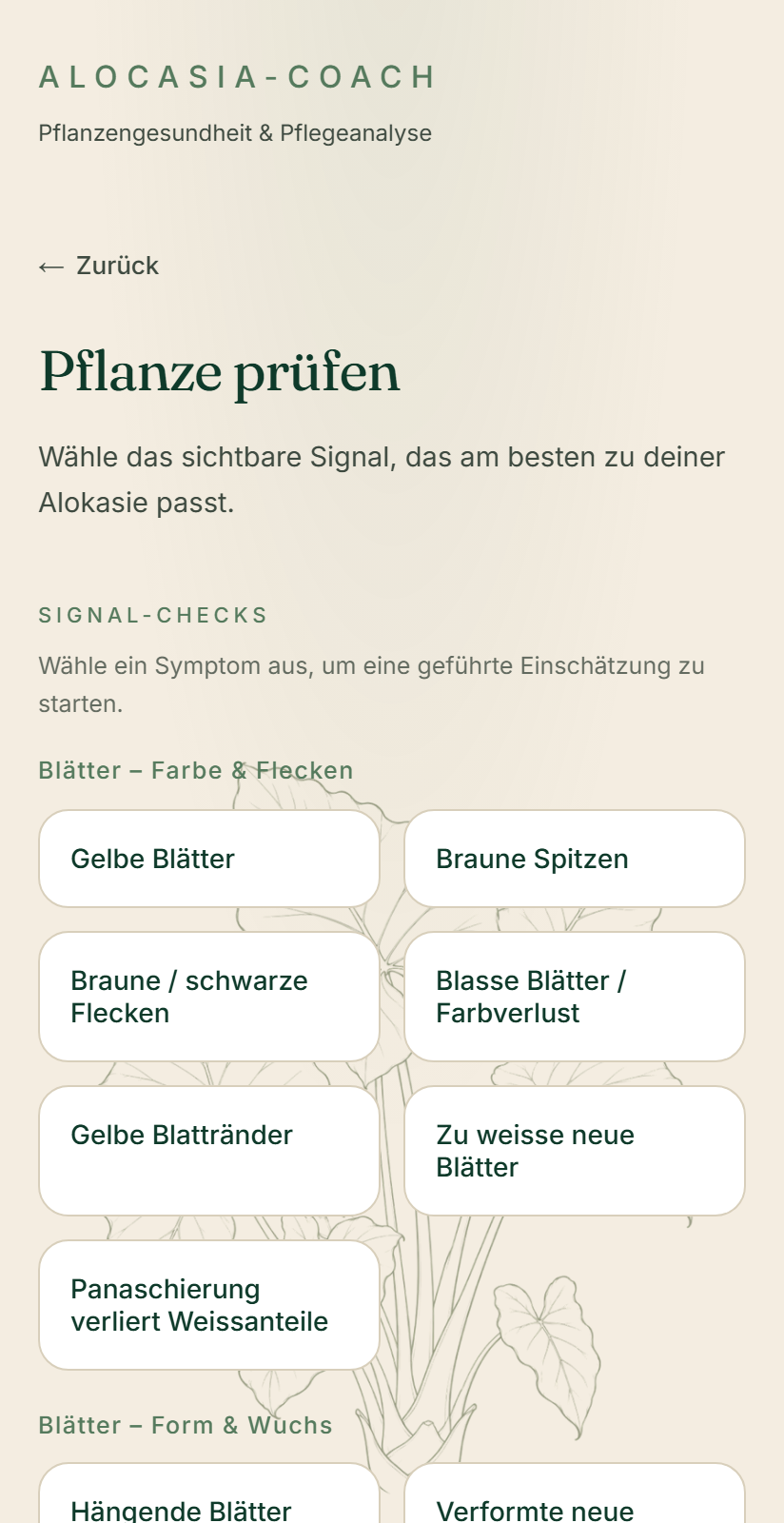 Alocasia Coach — Signal-Check starten (iPhone)