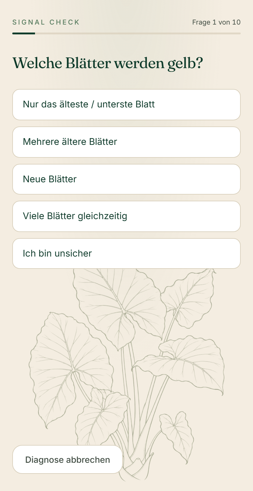 Alocasia Coach — Geführte Diagnose (iPhone)